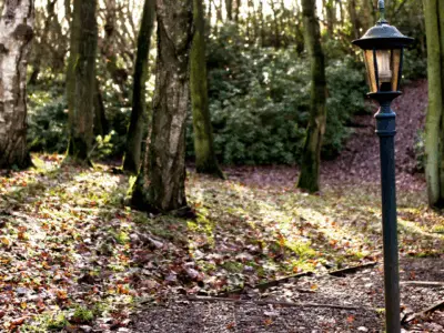 Woodland walk Woodland walk