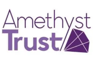 Awards (12) Amethyst Trust Trained Therapists Award