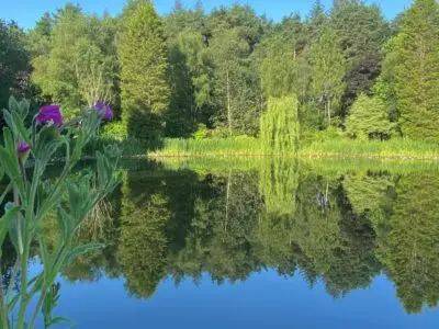 Lake view 1-min